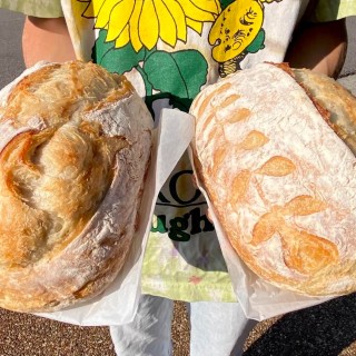 Locally Grown Produce and Goods w/ Cecilia & Otis - Russellville Community Market